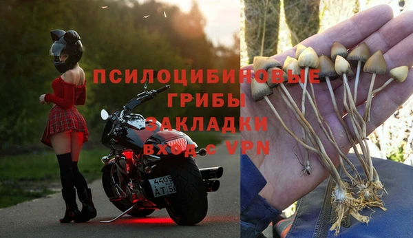 не бодяженный Лабытнанги