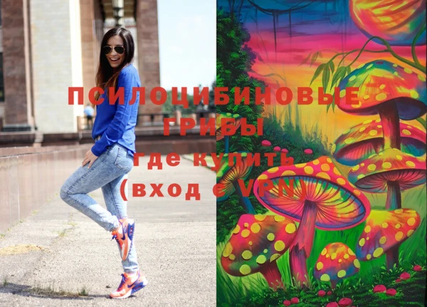 не бодяженный Лабытнанги