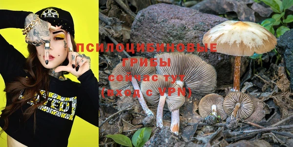 не бодяженный Лабытнанги