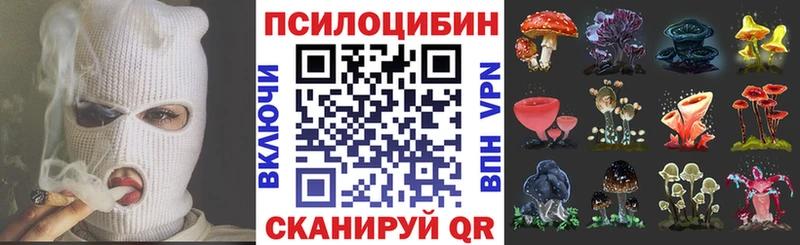 Псилоцибиновые грибы Magic Shrooms Мурино