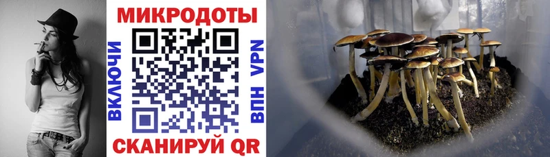 Псилоцибиновые грибы GOLDEN TEACHER kraken ТОР Мурино